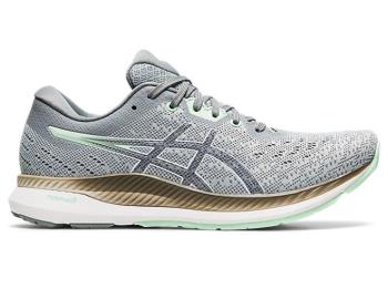 Asics Kadın EVORIDE Koşu Ayakkabısı TR320KD